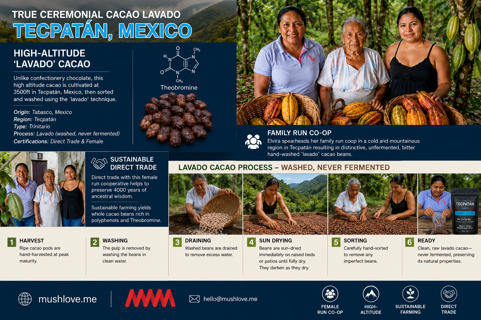 1/2 LB - High Altitude Ceremonial Cacao "Lavado" - Woman Grown, Direct Trade Tecpatán, MX - Image 2
